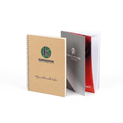 Sıvama Defter 1001DFT-02-17x24