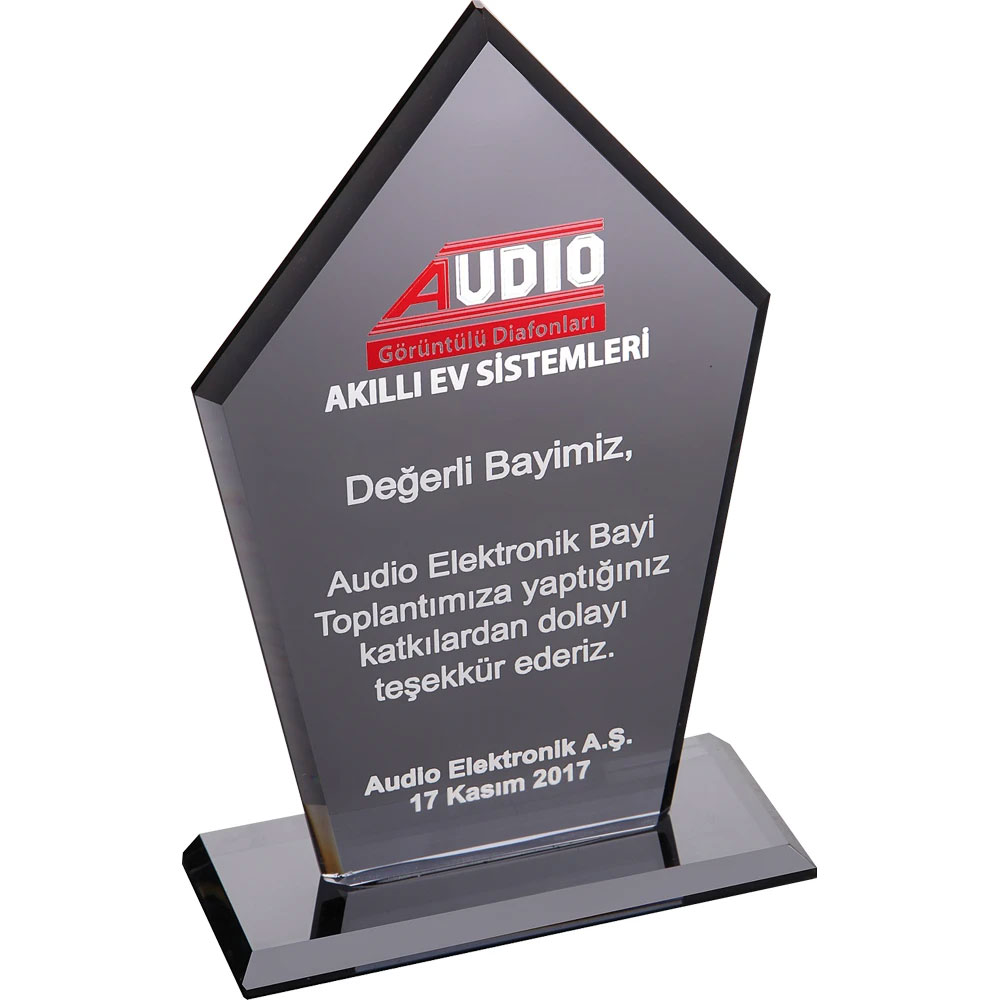 Kristal Plaket 1001EKT-161-FM