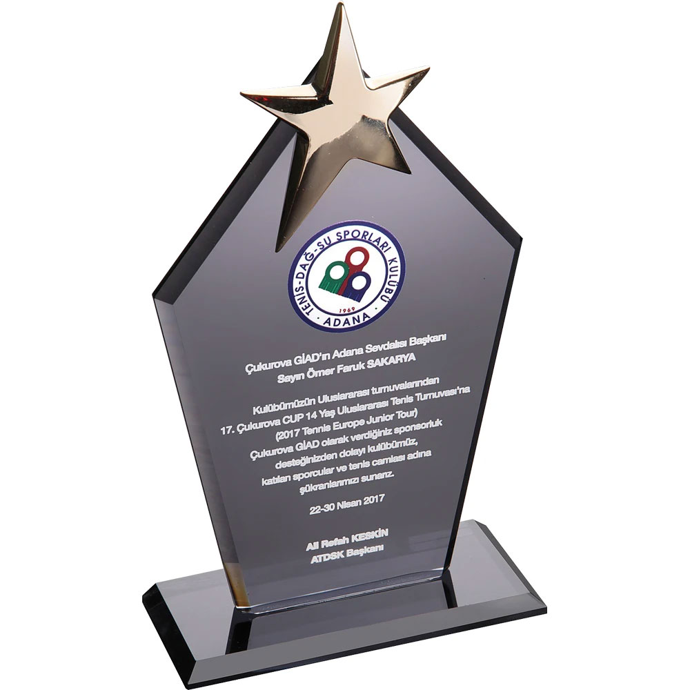Kristal Plaket 1001EKT-170-FM