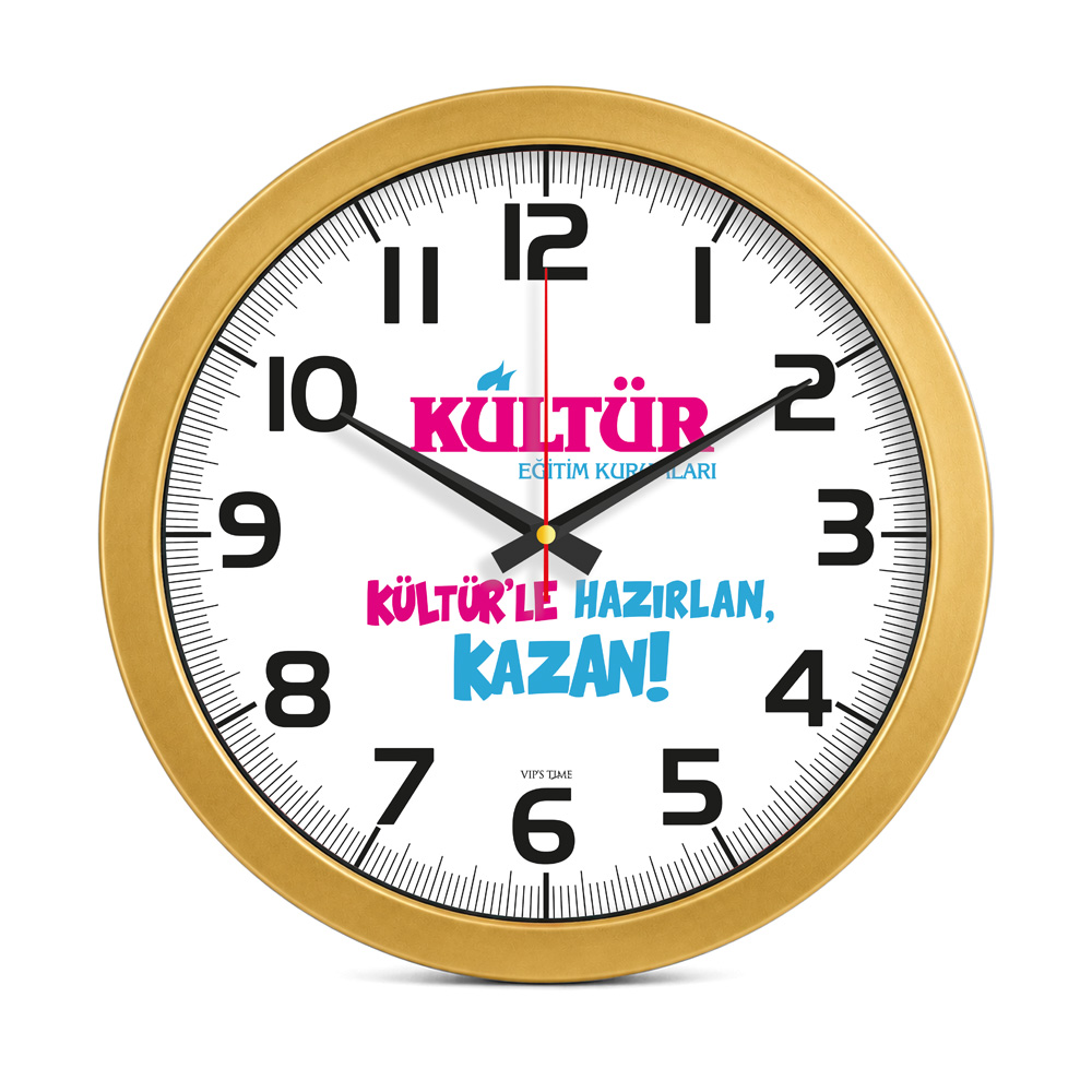 Metalize Duvar Saati 1001V30-570-A
