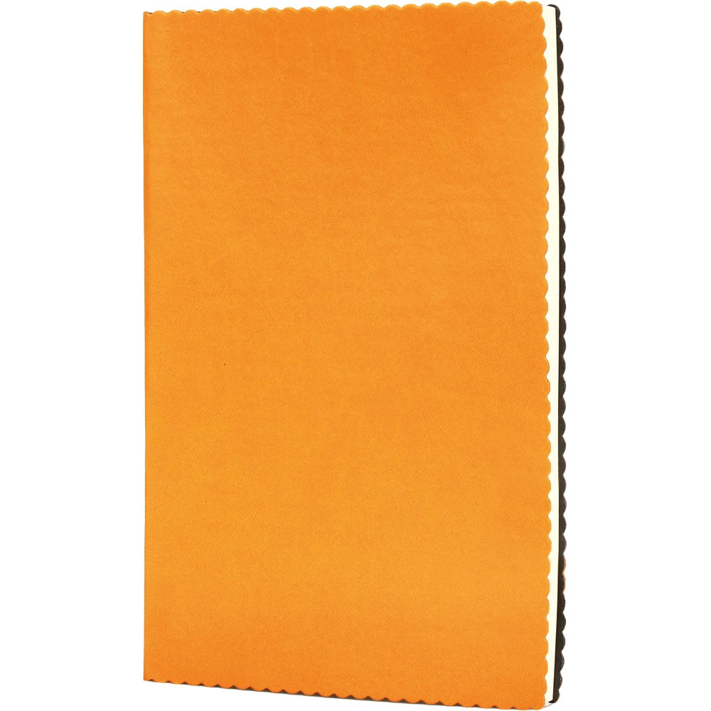 Tarihsiz Defter 1001Erciyes-T